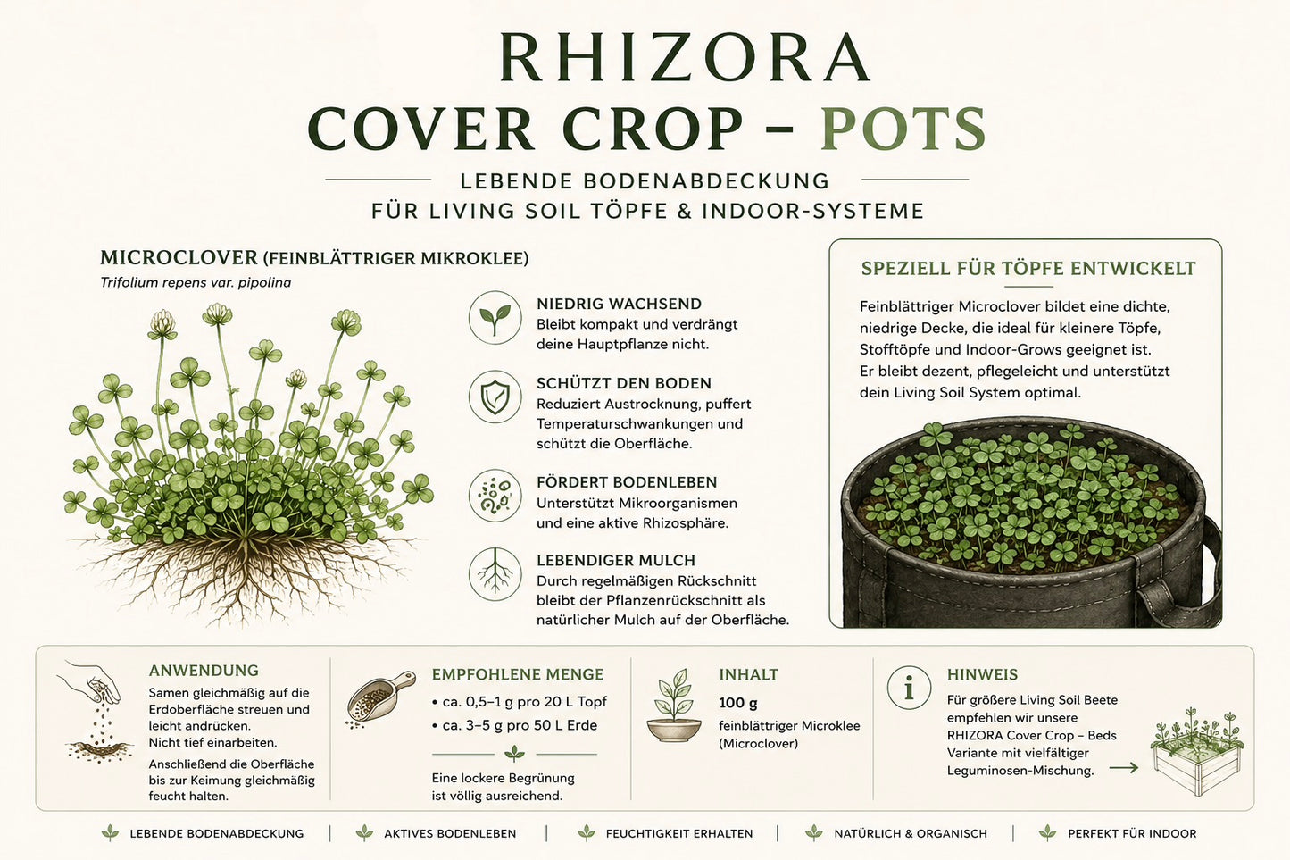 RHIZORA Cover Crop – Pots