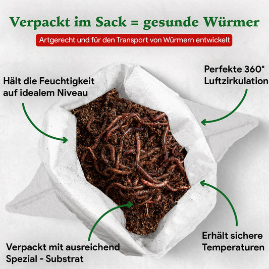 Living Soil Kompostwürmer